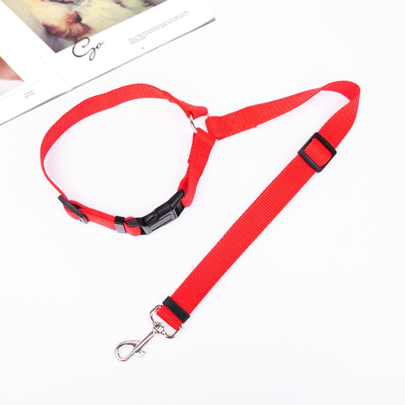 🐾Adjustable Car Dog Leash - Image 10