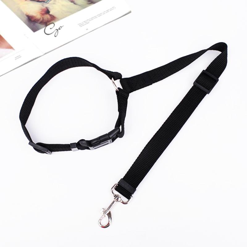 🐾Adjustable Car Dog Leash - Image 13