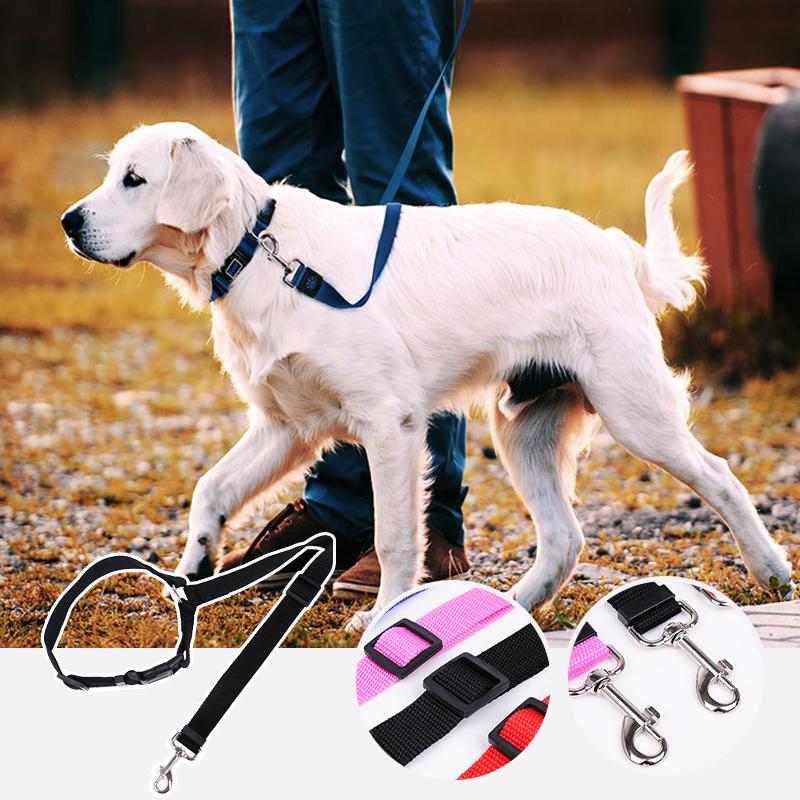 🐾Adjustable Car Dog Leash - Image 3