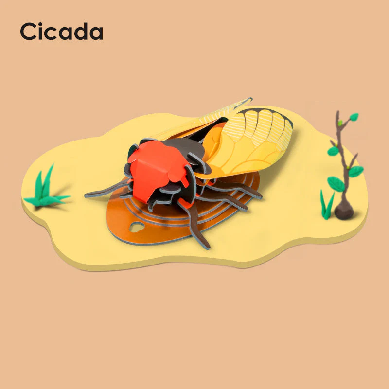 3D Wooden Insect Puzzles - Image 12