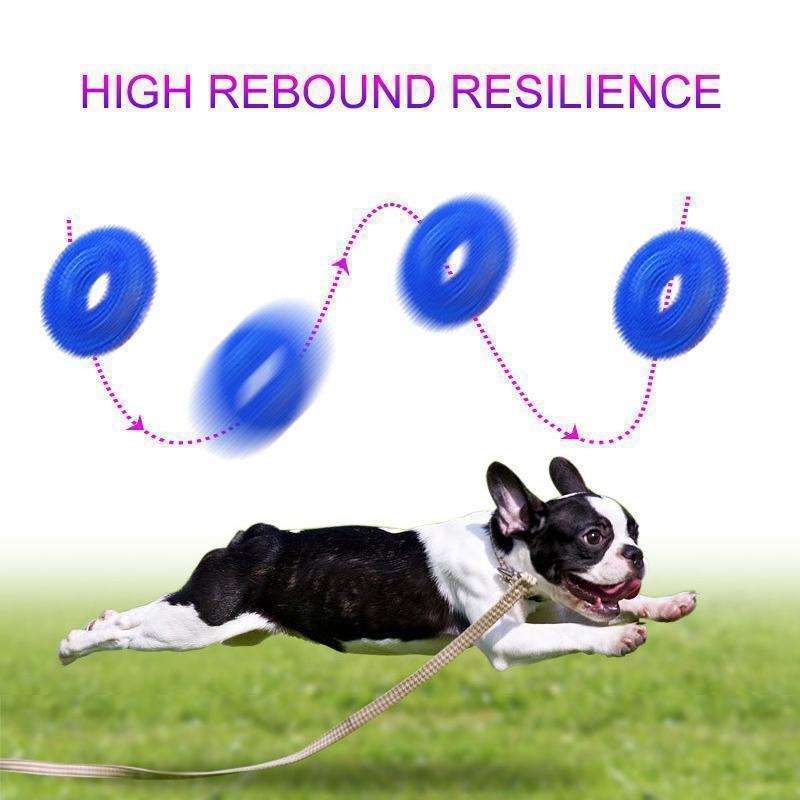 Biting Dog Toy Vocal Ball - Image 8