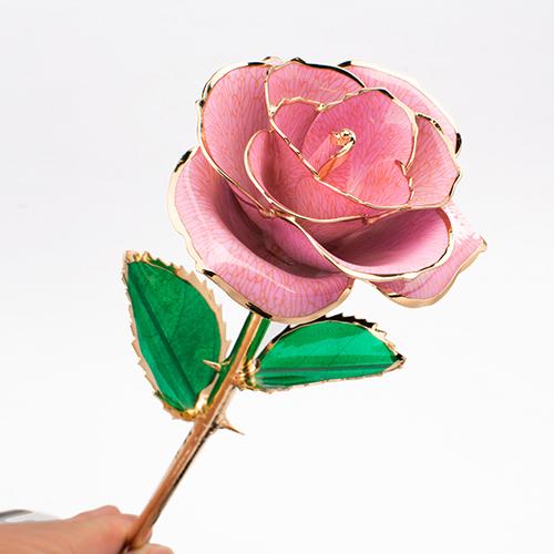 Bloom Eternal 24K Gold Rose - Image 17