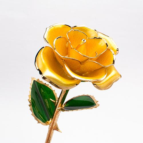 Bloom Eternal 24K Gold Rose - Image 9