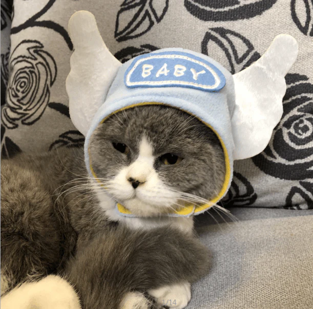 Cat Bunny Ears🔥 - Image 19