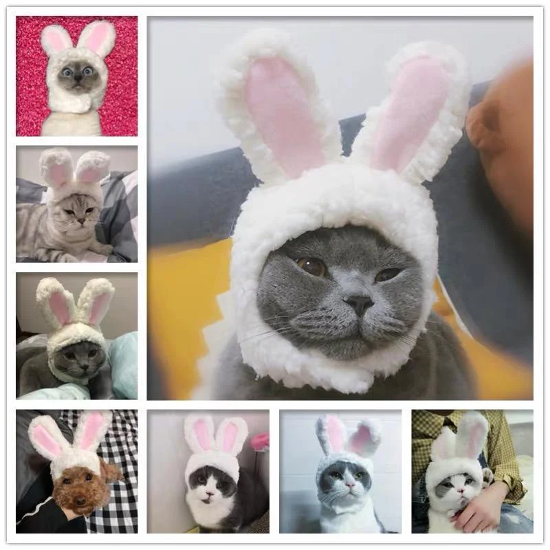 Cat Bunny Ears🔥 - Image 7