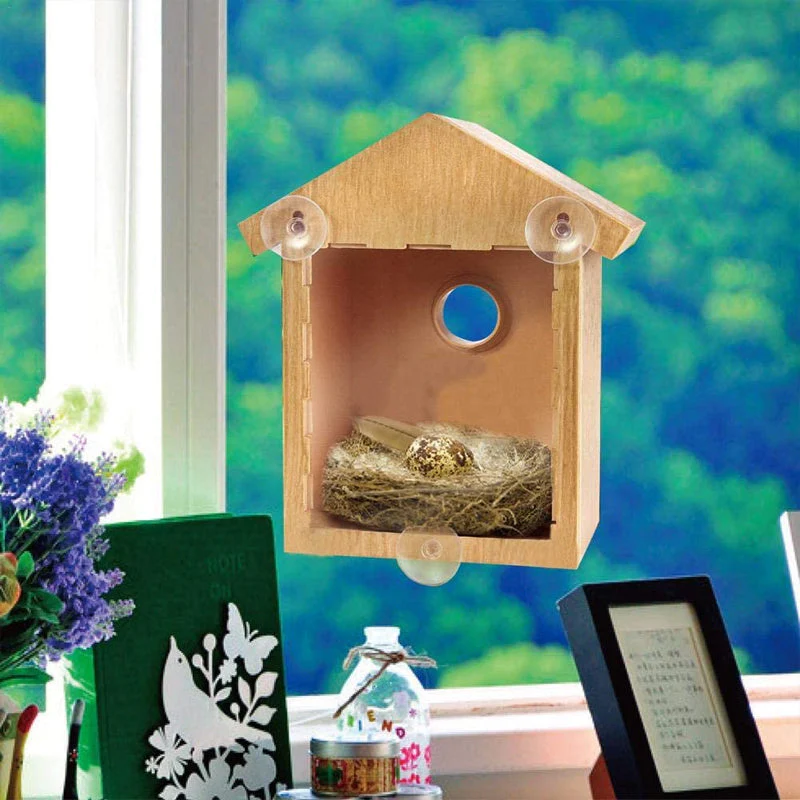 DIY Sucker Bird Nest - Image 2