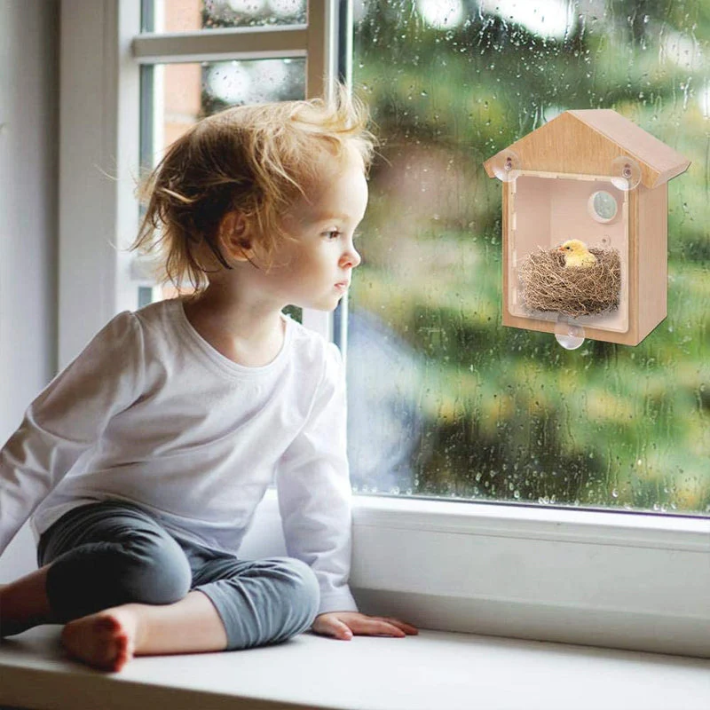 DIY Sucker Bird Nest - Image 3