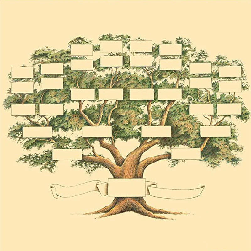 Family Tree Notebook - Image 18