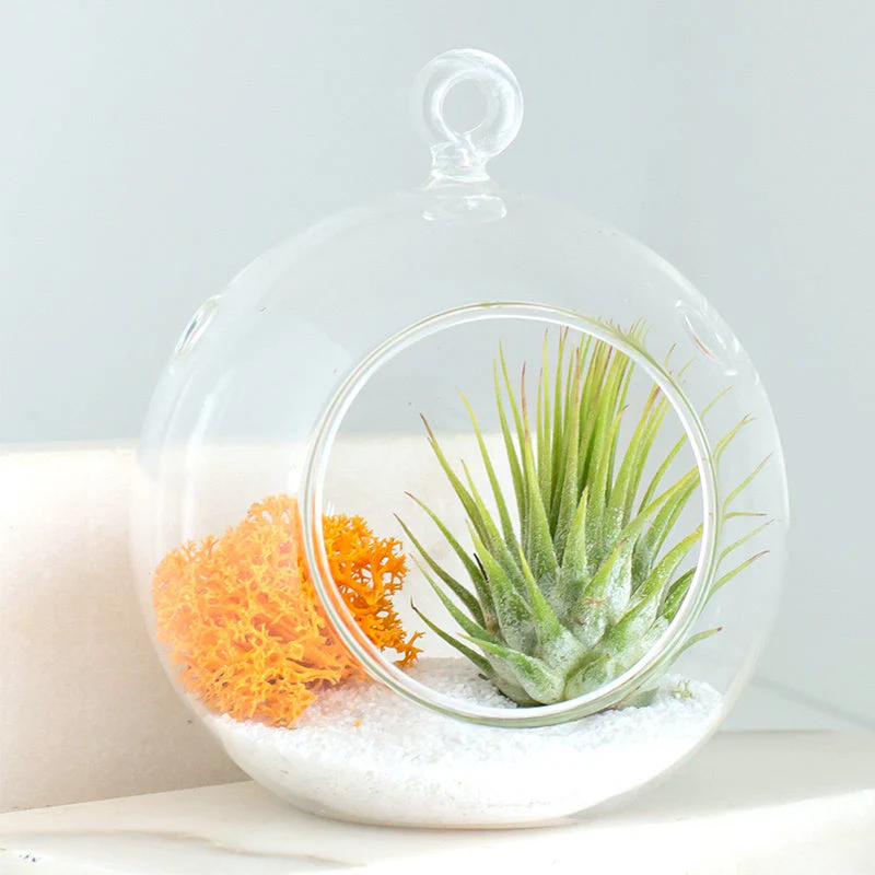 Hanging Glass Plant Pots - Image 4