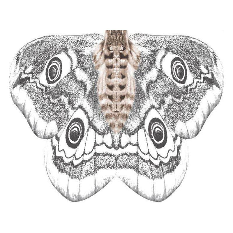 Lady's Butterfly Shawl - Image 8