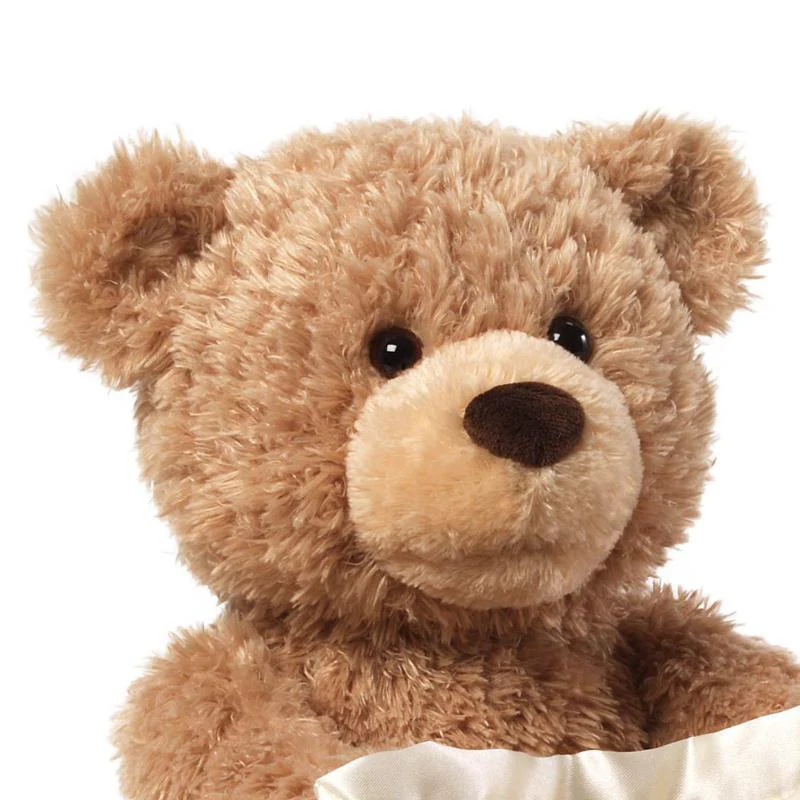 Peek-a-Boo Teddy Bear - Image 5