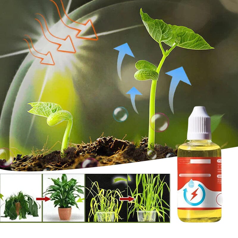 Plant Growth Enhancer Supplement - Image 10