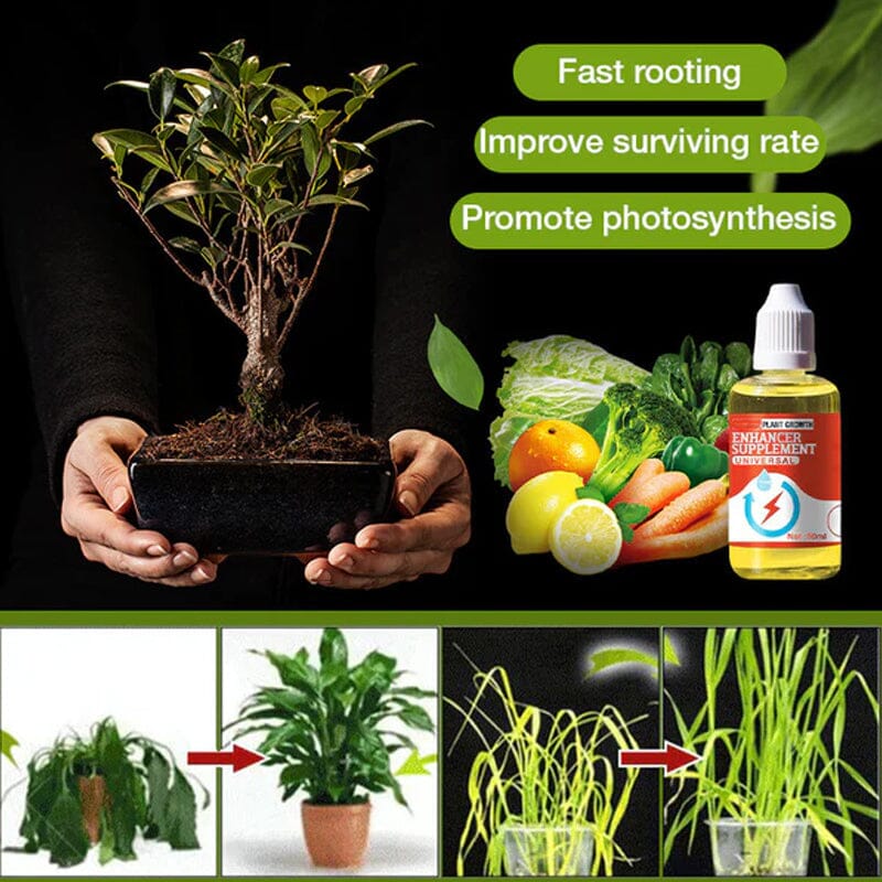 Plant Growth Enhancer Supplement - Image 2