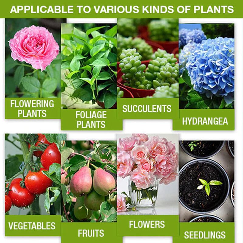 Plant Growth Enhancer Supplement - Image 4