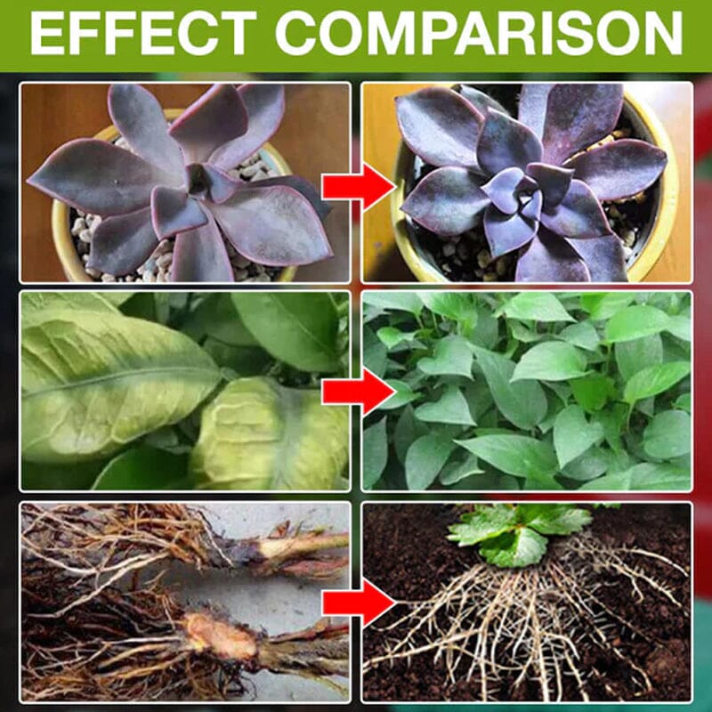 Plant Growth Enhancer Supplement - Image 6