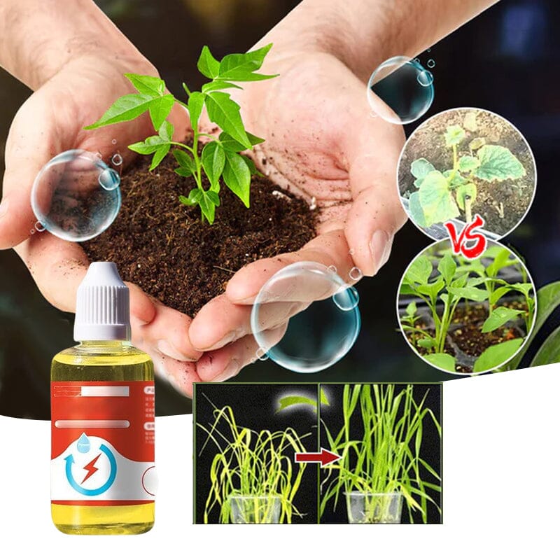Plant Growth Enhancer Supplement - Image 9