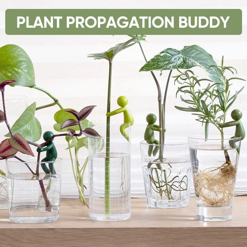 Plant Propagation Buddy - Image 2
