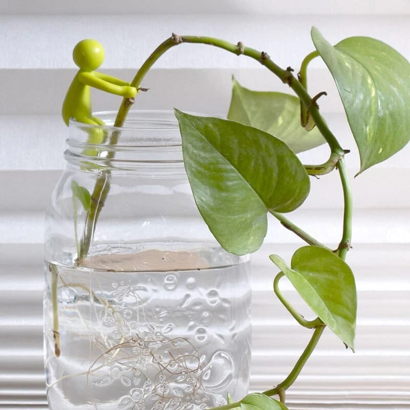Plant Propagation Buddy - Image 3