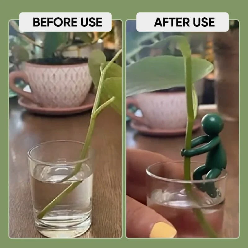 Plant Propagation Buddy - Image 4