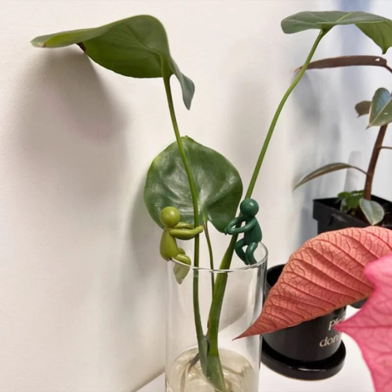 Plant Propagation Buddy - Image 5