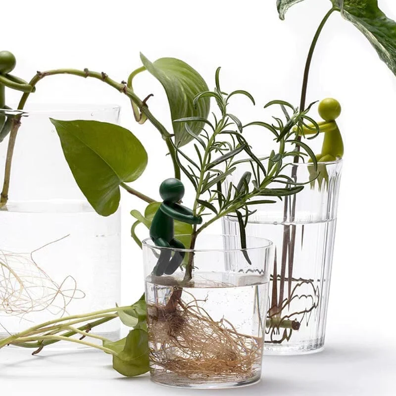 Plant Propagation Buddy - Image 6