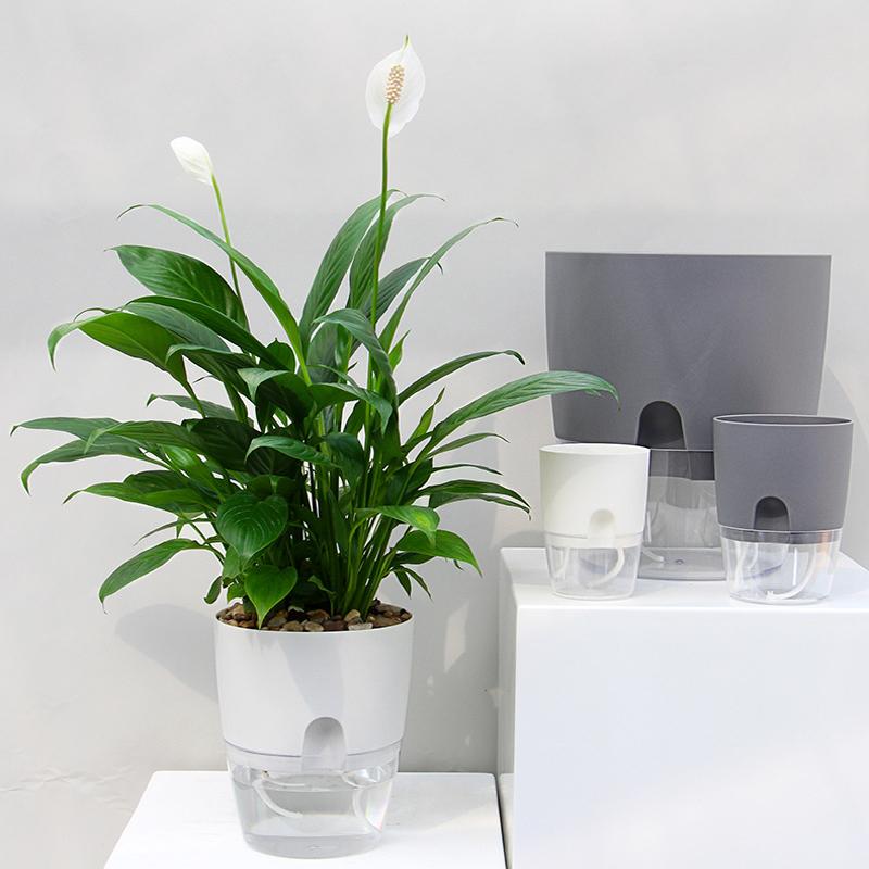 Self-watering Eco Pot - Image 2