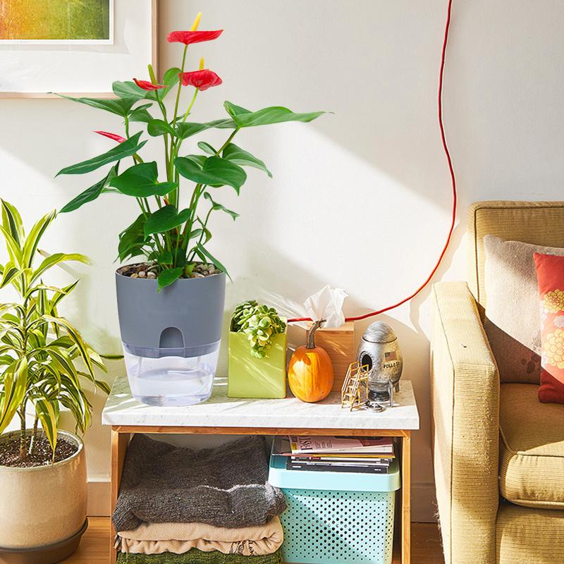 Self-watering Eco Pot - Image 4
