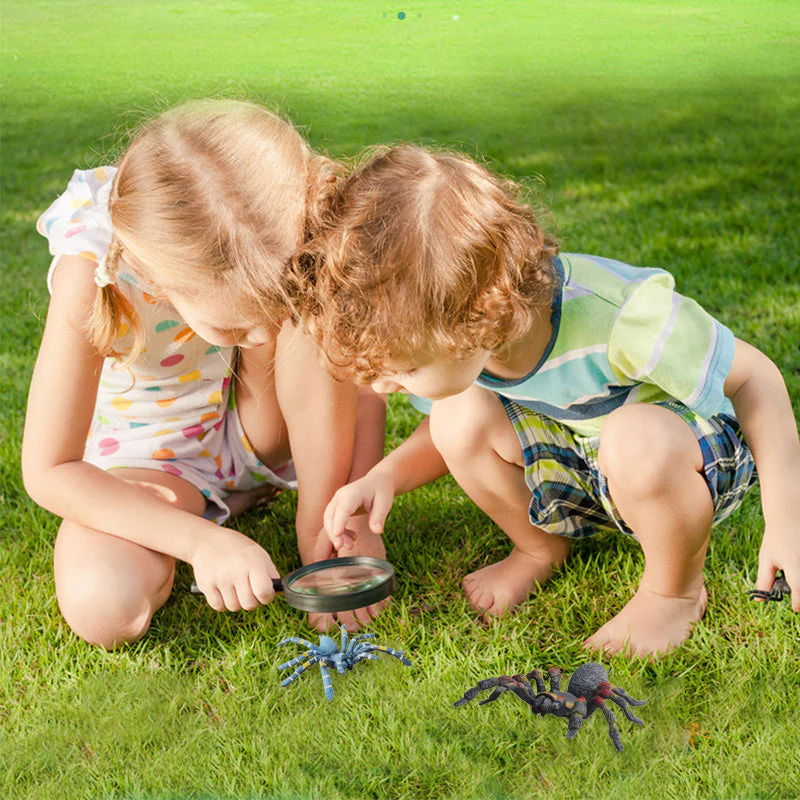 Simulation Spider Toy - Image 2
