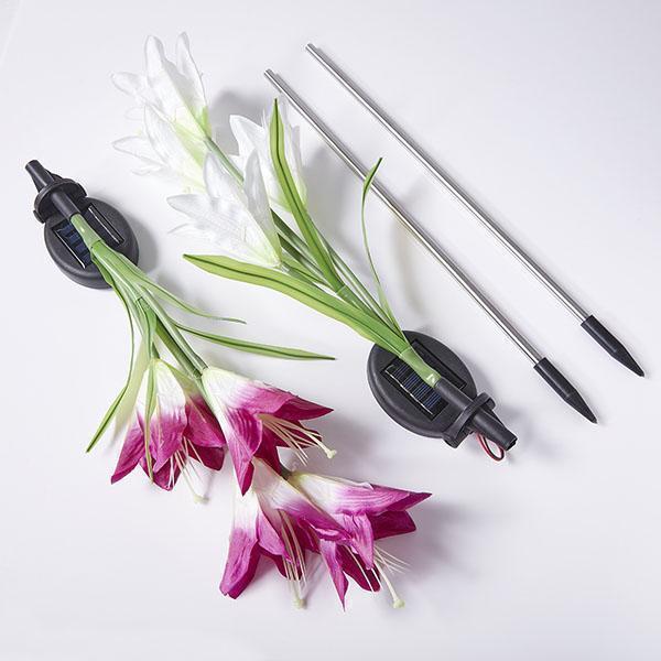 Solar Powered LED Flower Stake Set - Image 9