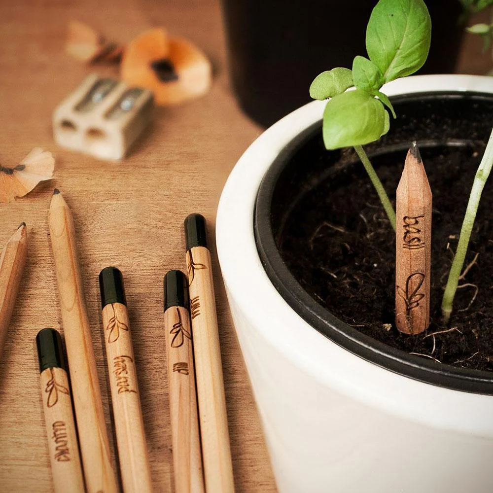 Sprout plantable graphite pencils - 8 Pcs - Image 4