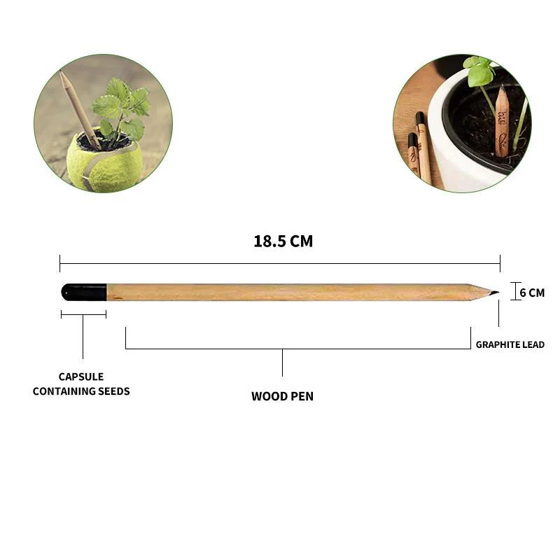 Sprout plantable graphite pencils - 8 Pcs - Image 7