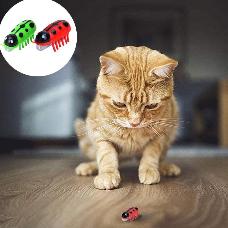 Super Robot Bug Toy for Cats - 2 Pcs - Image 5