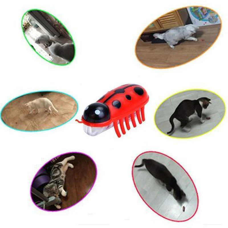 Super Robot Bug Toy for Cats - 2 Pcs - Image 8